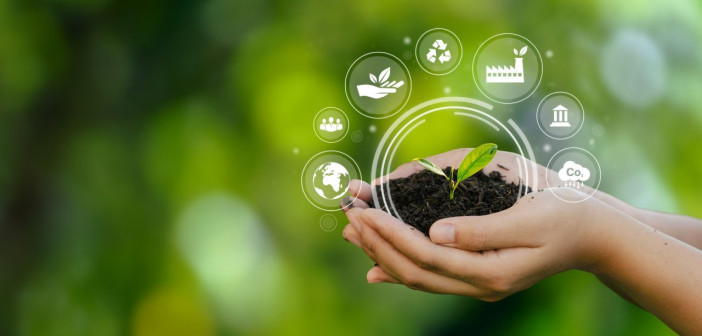 Master cofinanziato da Fib in “Sustainability Manager per la Transizione Ecologica”
