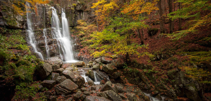 Aperte le iscrizioni per l’Executive Master in Management dei Parchi e delle Aree Protette