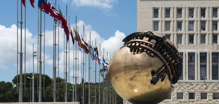 Evento online: Open Day 13 maggio, Master in Diplomacy 2026/27